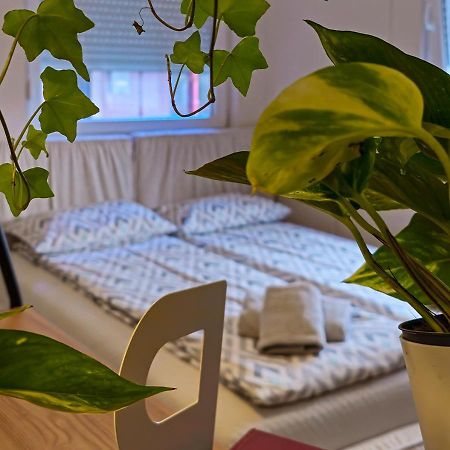 Apartmani Zrenjanin Exterior foto