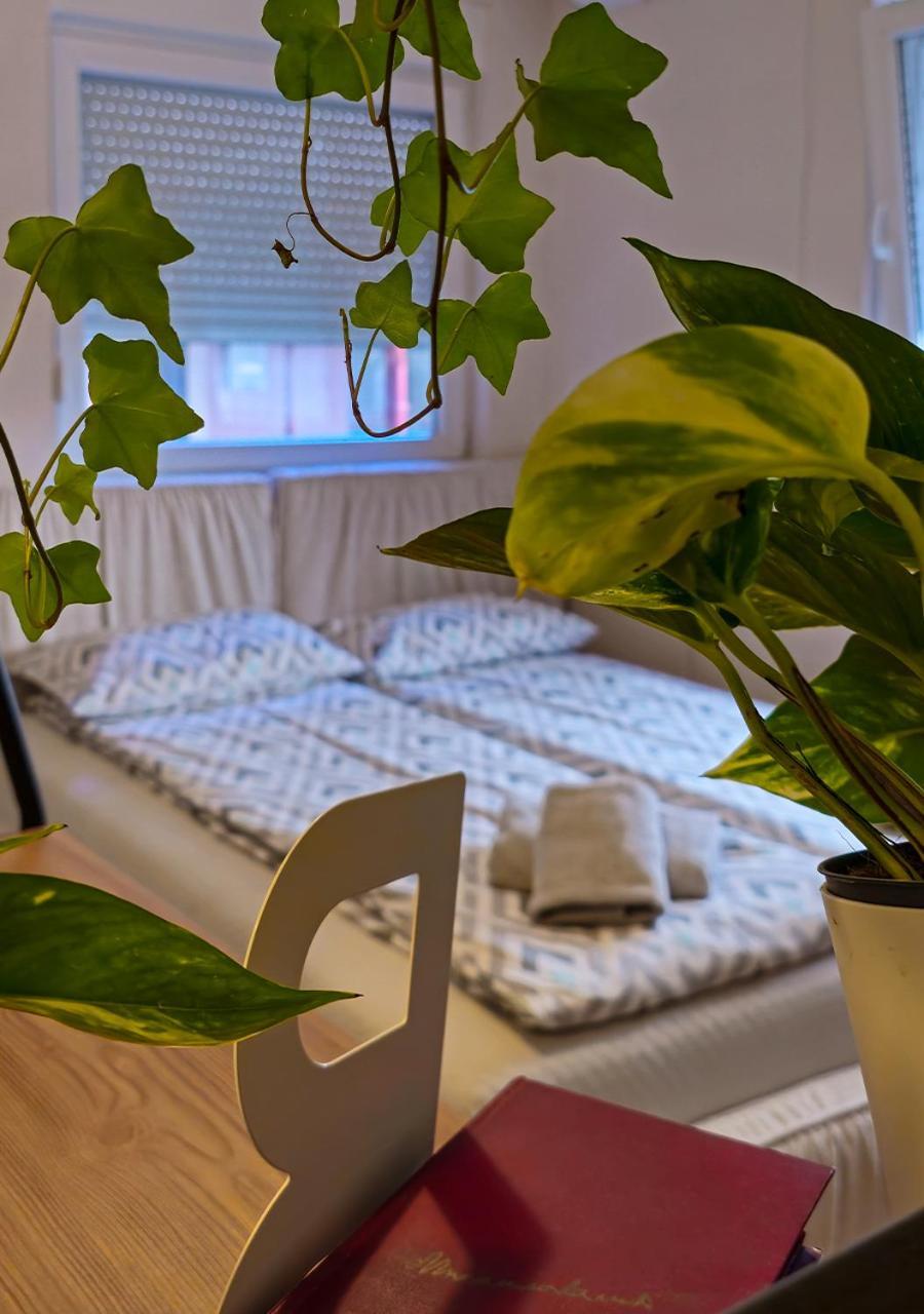 Apartmani Zrenjanin Exterior foto